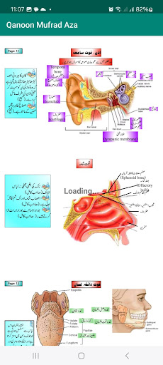 Qanoon Mufrad Aza Hakeem screenshot 12