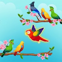 Сортировка птиц по цвету