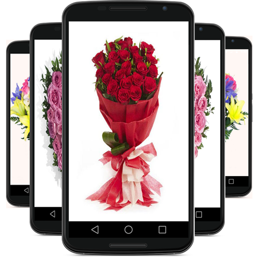 Aperçu de l'application