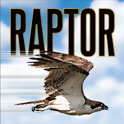 McLeod RAPTOR 1.0 Icon