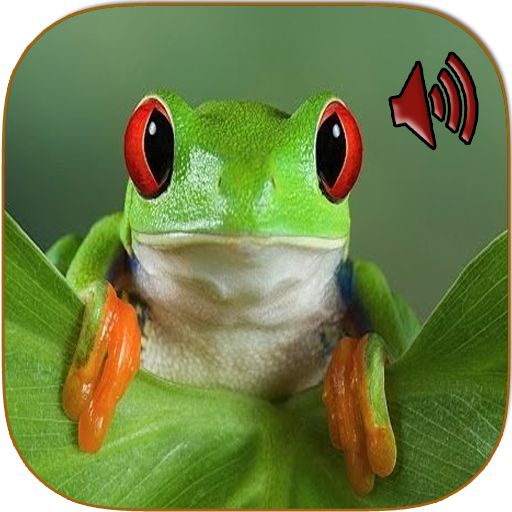Sounds of frog logo