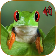 Top 30 Entertainment Apps Like Sounds of frog - Best Alternatives