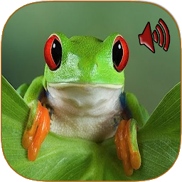 Icon image Sounds of frog
