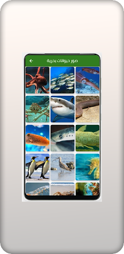صور حيوانات Screen 3