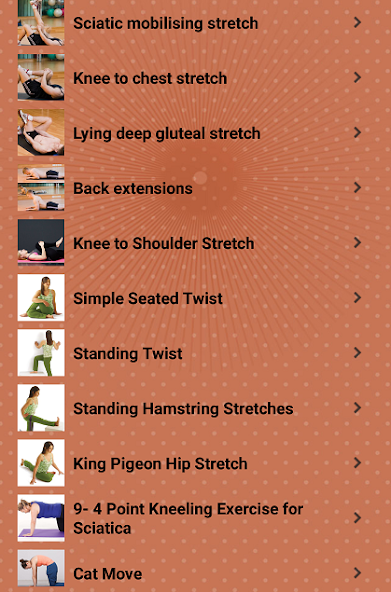 Sciatic Nerve Pain Exercises Screen Views 11