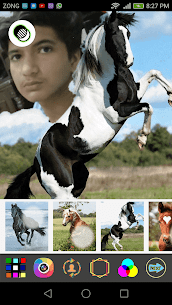 Horse Selfie Photo Frames For Pc, Windows 10/8/7 And Mac – Free Download (2021) 2