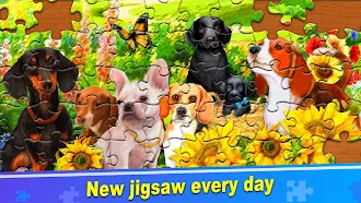 Game screenshot ColorPlanet® Jigsaw Puzzle hack