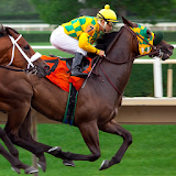 Horse Racing - Jigsaw Puzzle icon