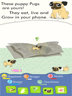 Pokepugs - Growing Pug banner