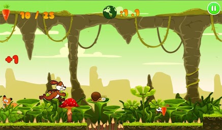 Jungle Bunny Run