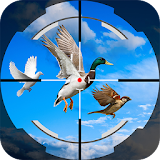 Bird Shooting 3D : Forest Bird Hunting Simulation icon