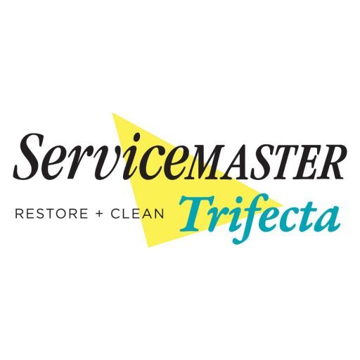 SM Trifecta ERP logo