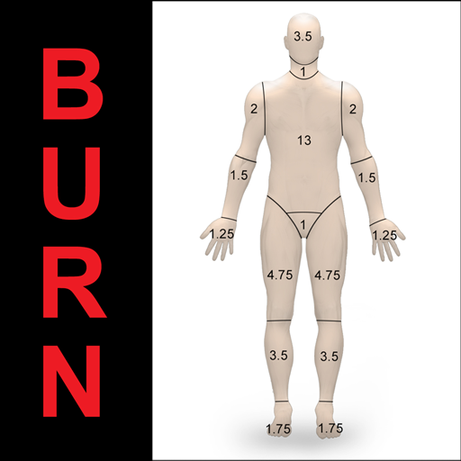 Burn Table logo