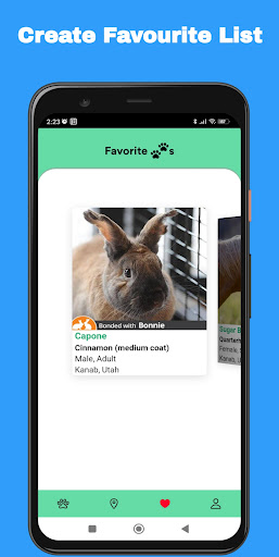 Little Paws Adopt: Adopt a Pet Screen 2