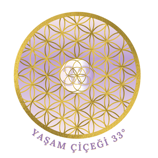 Yaşam Çiçeği 33 logo
