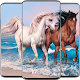 Horse Wallpaper Download on Windows