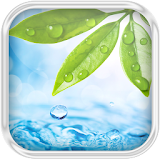 Leaves Water Effect LWP icon