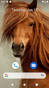 Horse Wallpaper HD Screenshot