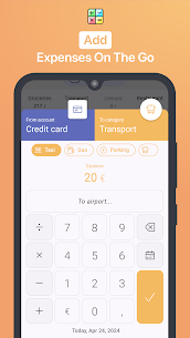 1Geld: Expense Tracker Budget MOD APK (Premium ontgrendeld) 5