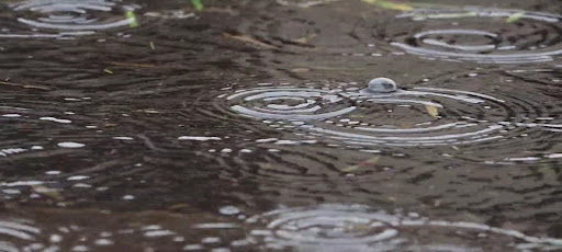 rain meditation, 빗소리 명상 Screen 3