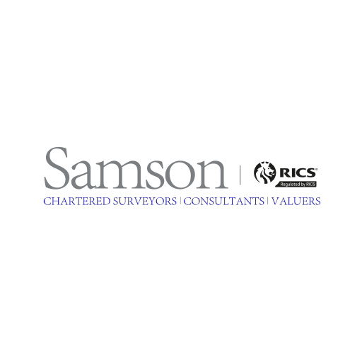 Samson Consultants  Icon