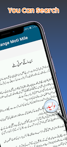 Bin Mange Moti Mile Urdu Novel
