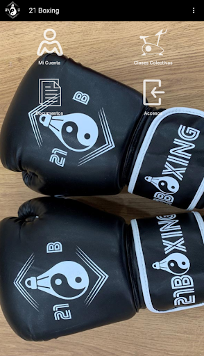 21 Boxing Screen 3