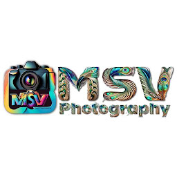 Icon image MSV Photography