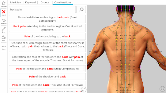 Visual Acupuncture 3D 4