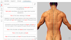 screenshot of Visual Acupuncture 3D