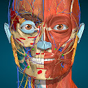3D-Anatomie - Anatomy Lerning