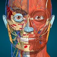 Anatomy Learning - 3D Anatomy v2.1.425 MOD APK (Full) Unlocked (110 MB)