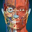 Anatomy Learning - 3D Anatomy