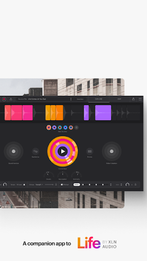 Life Field Recorder Screen 2
