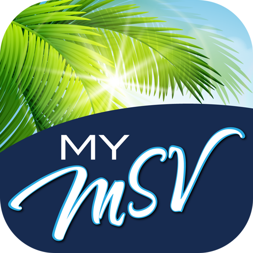 My MSV PublicStuff logo