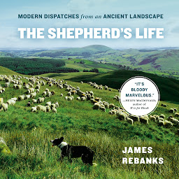 Icon image The Shepherd's Life: Modern Dispatches from an Ancient Landscape