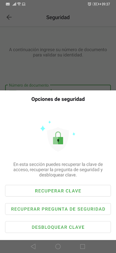 Fundación Amanecer Screen 2