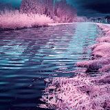 Purple River Live Wallpaper icon