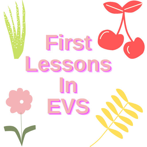 EVS lessons for Children logo