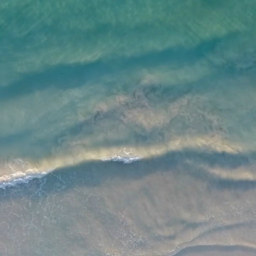 Ocean Wave Live Wallpaper Pro logo