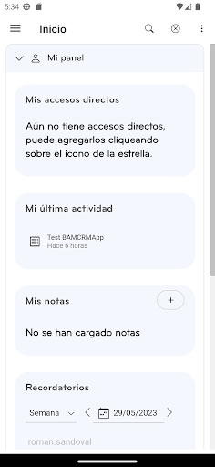 BAMCRM Screen 2