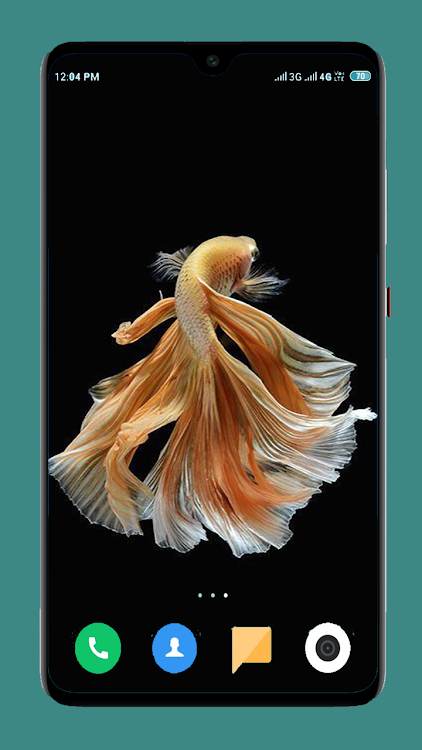 Betta Fish Wallpapers 4K - 1.12 - (Android)
