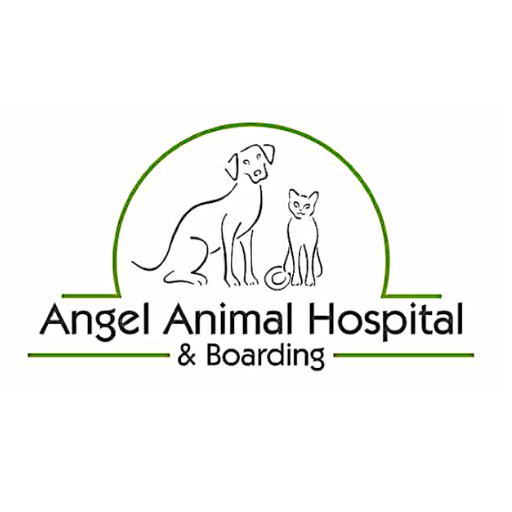 Angel Animal Vet logo