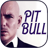 Pitbull mp3 icon