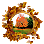 Cover Image of Download Nature Frames Photo Editor 1.10 APK