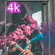 colors smoke wallpaper - HD Download on Windows