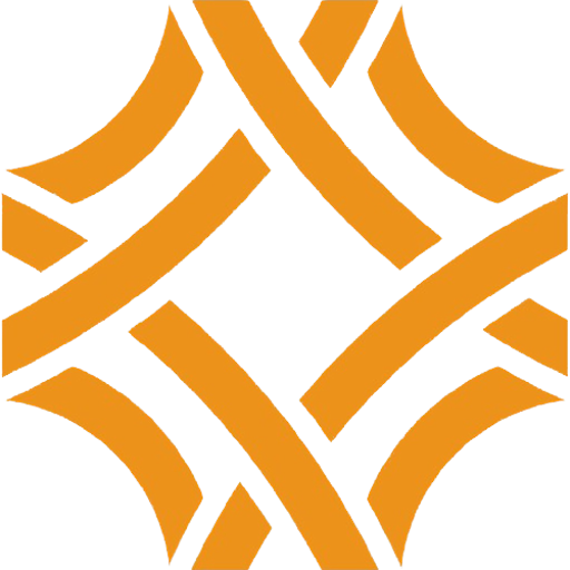 CTIN ERP logo