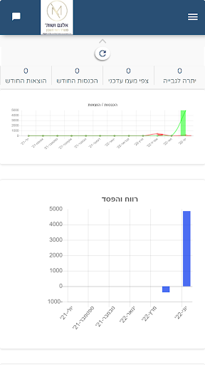 אלגם ושות- משרד רואי חשבון Screen 3