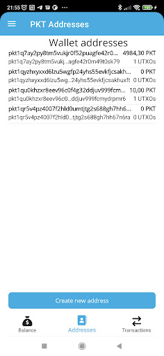 Pkt.world Wallet Screen 3