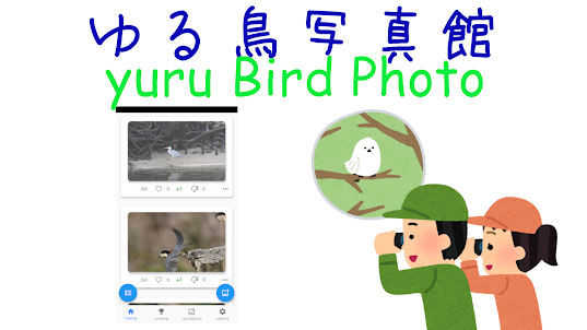 yuru Bird Photo